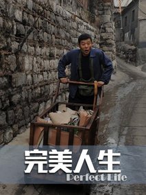 完美人生,介绍海报